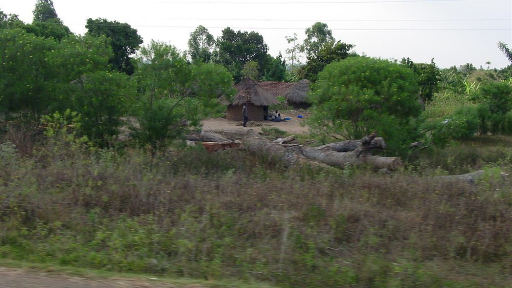 The eastern Ugandan countryside on a road to Jinja.