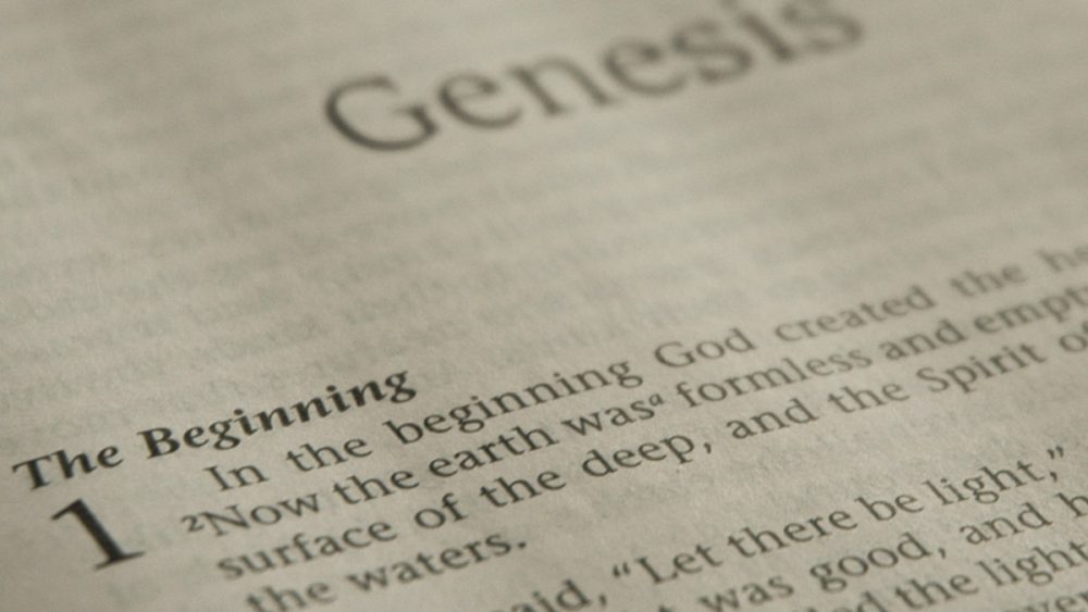 Genesis Bible