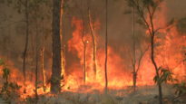 bushfire in Queensland