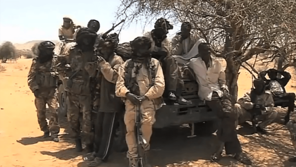 Sudanese Government militia in Darfur